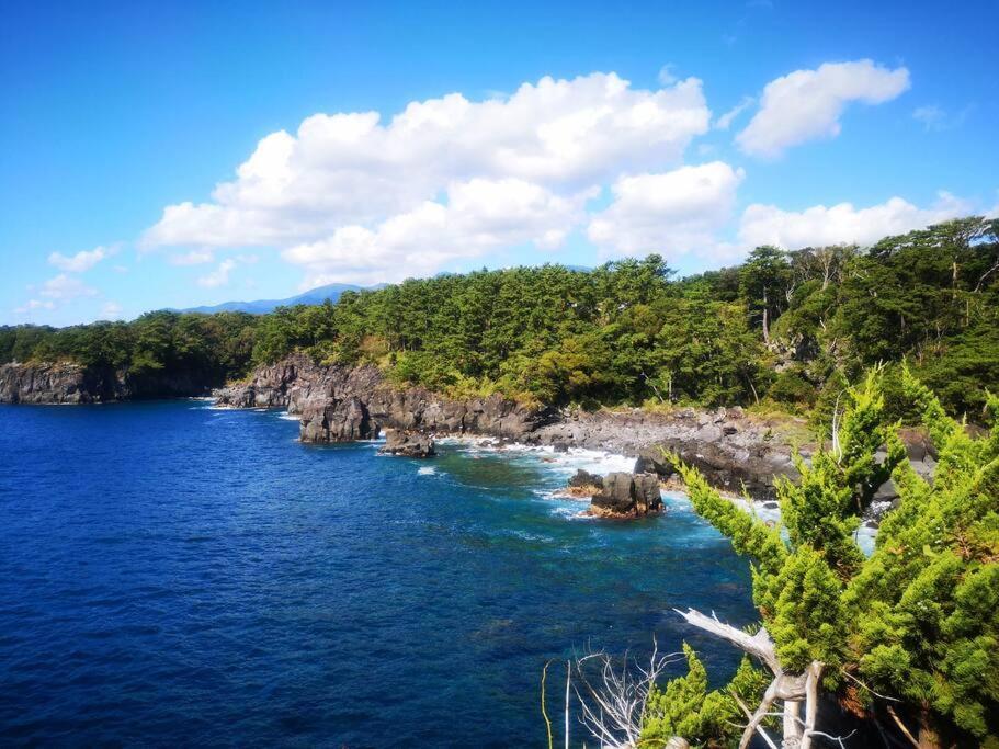 Villa 2sldk駐車場、芝生東屋付き、bbq、大室山と海遠望伊豆高原5分 *